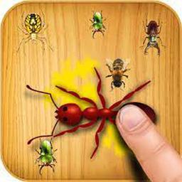 Ants Touch 